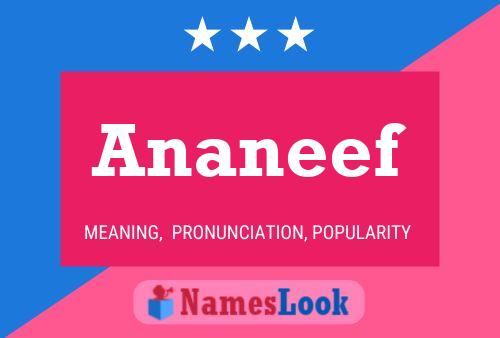 ملصق اسم Ananeef