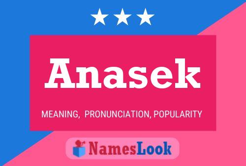 ملصق اسم Anasek