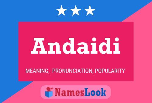 ملصق اسم Andaidi