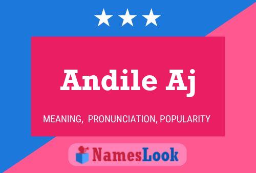 ملصق اسم Andile Aj