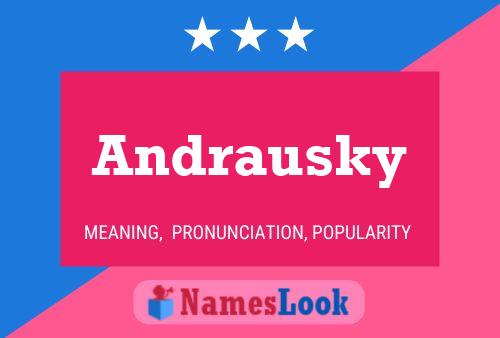 ملصق اسم Andrausky