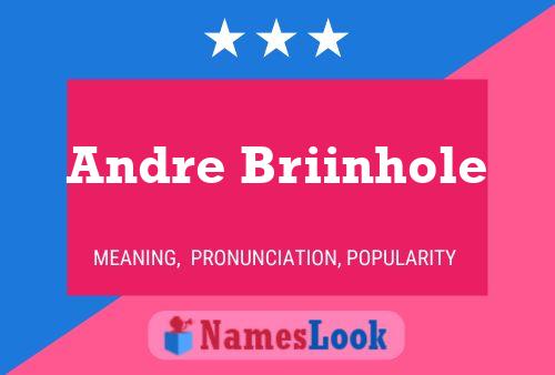 ملصق اسم Andre Briinhole