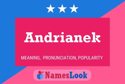 ملصق اسم Andrianek