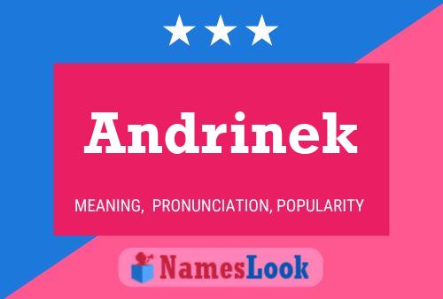 ملصق اسم Andrinek