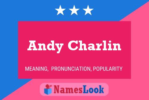 ملصق اسم Andy Charlin