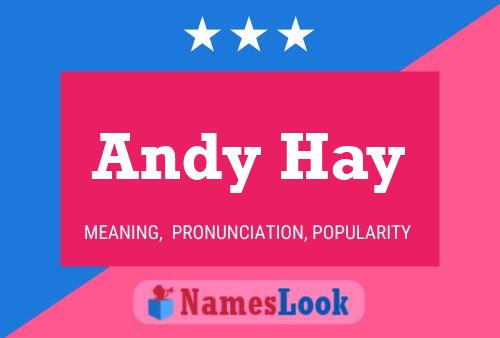 ملصق اسم Andy Hay