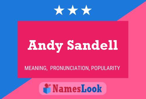 ملصق اسم Andy Sandell