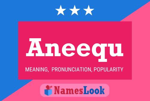 ملصق اسم Aneequ