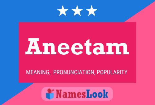 ملصق اسم Aneetam