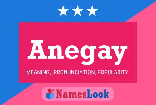 ملصق اسم Anegay