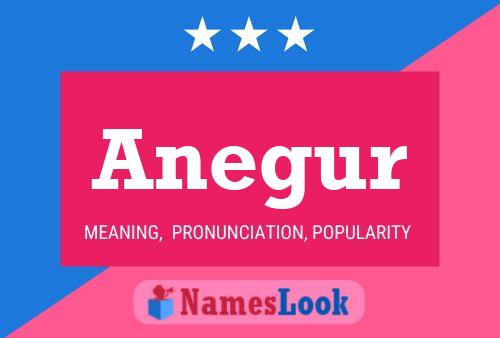 ملصق اسم Anegur