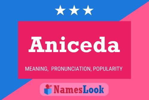 ملصق اسم Aniceda