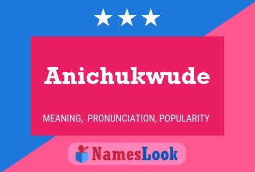 ملصق اسم Anichukwude