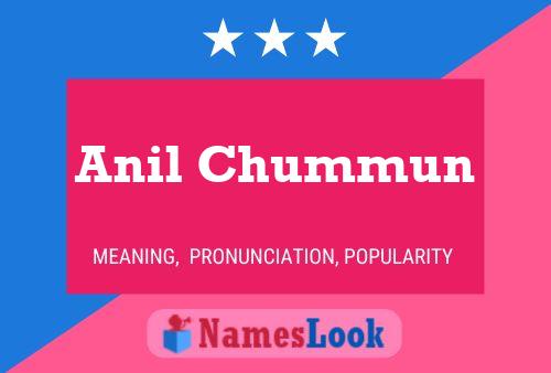 ملصق اسم Anil Chummun