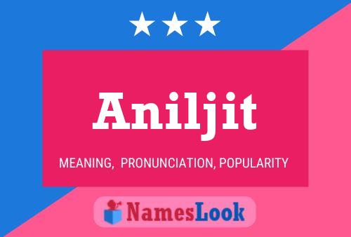 ملصق اسم Aniljit