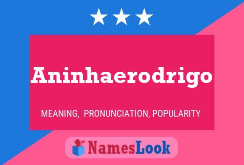 ملصق اسم Aninhaerodrigo