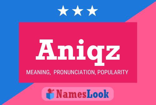 ملصق اسم Aniqz