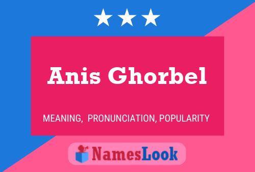 ملصق اسم Anis Ghorbel