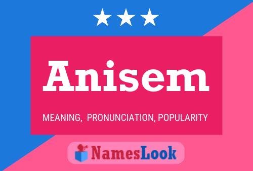 ملصق اسم Anisem