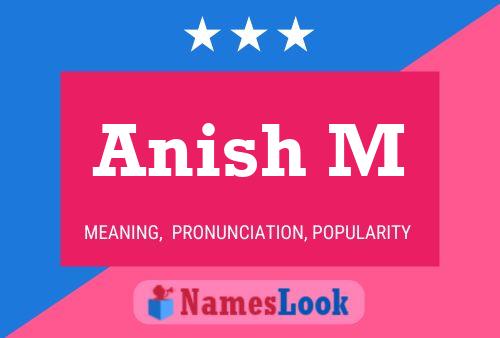 ملصق اسم Anish M