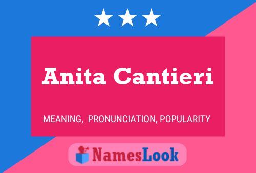 ملصق اسم Anita Cantieri