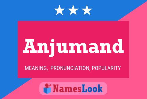 ملصق اسم Anjumand