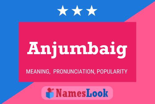 ملصق اسم Anjumbaig