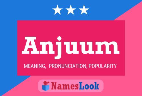 ملصق اسم Anjuum