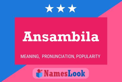 ملصق اسم Ansambila