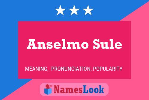 ملصق اسم Anselmo Sule