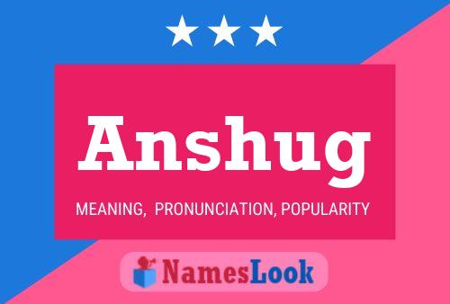 ملصق اسم Anshug