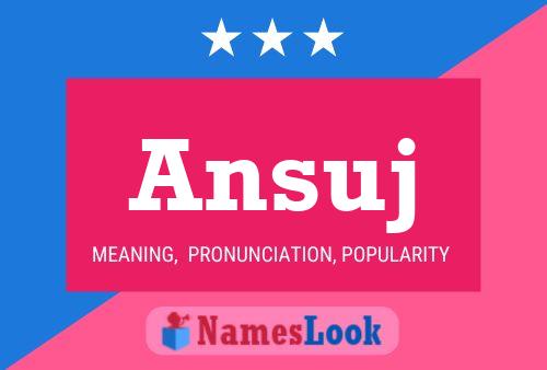 ملصق اسم Ansuj