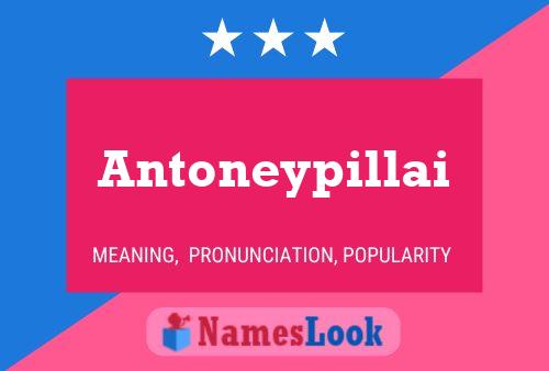 ملصق اسم Antoneypillai