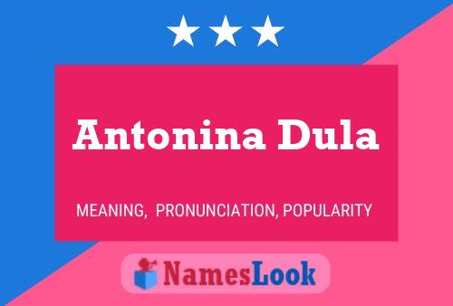 ملصق اسم Antonina Dula