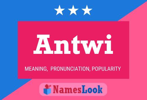 ملصق اسم Antwi