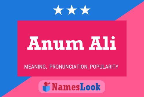 ملصق اسم Anum Ali