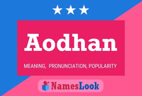 ملصق اسم Aodhan