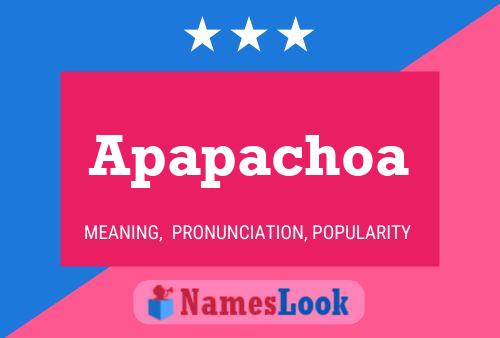 ملصق اسم Apapachoa