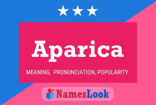 ملصق اسم Aparica