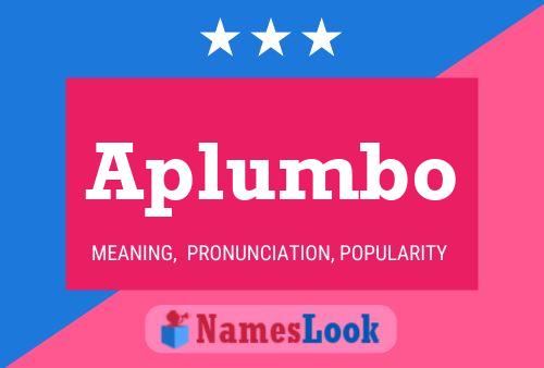 ملصق اسم Aplumbo