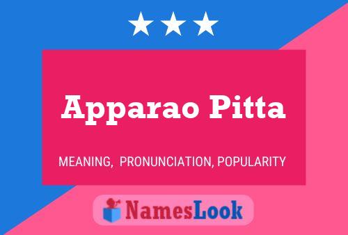 ملصق اسم Apparao Pitta