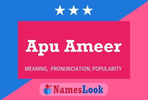 ملصق اسم Apu Ameer