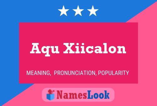 ملصق اسم Aqu Xiicalon