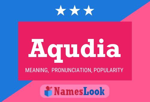 ملصق اسم Aqudia