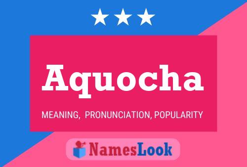 ملصق اسم Aquocha