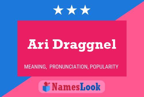 ملصق اسم Ari Draggnel