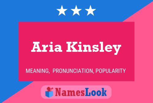 ملصق اسم Aria Kinsley