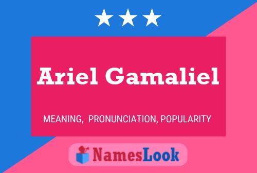 ملصق اسم Ariel Gamaliel