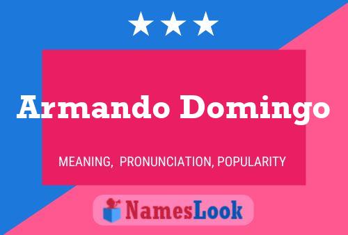 ملصق اسم Armando Domingo