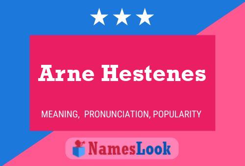 ملصق اسم Arne Hestenes